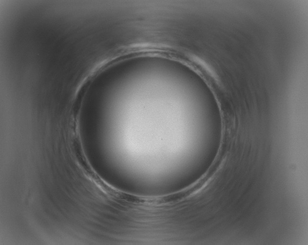 X0000083021357200702091306