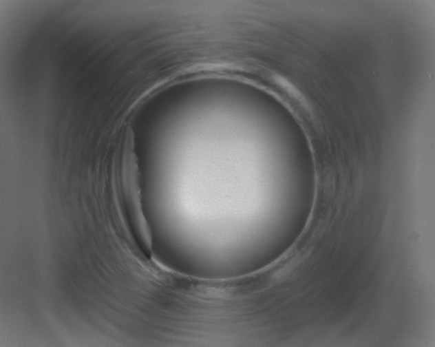 X0000083021361200702091306