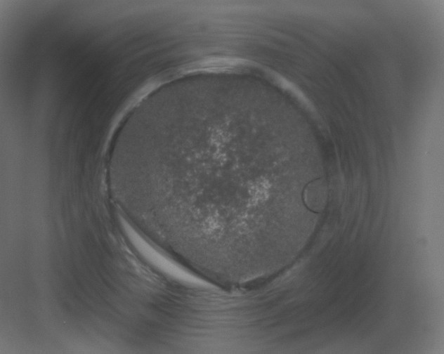 X0000083021362200702091306