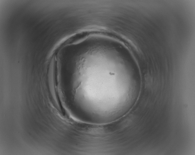 X0000083021363200702091306