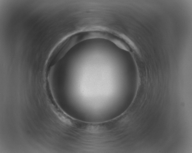 X0000083021364200702091306