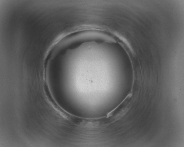 X0000083021365200702091306