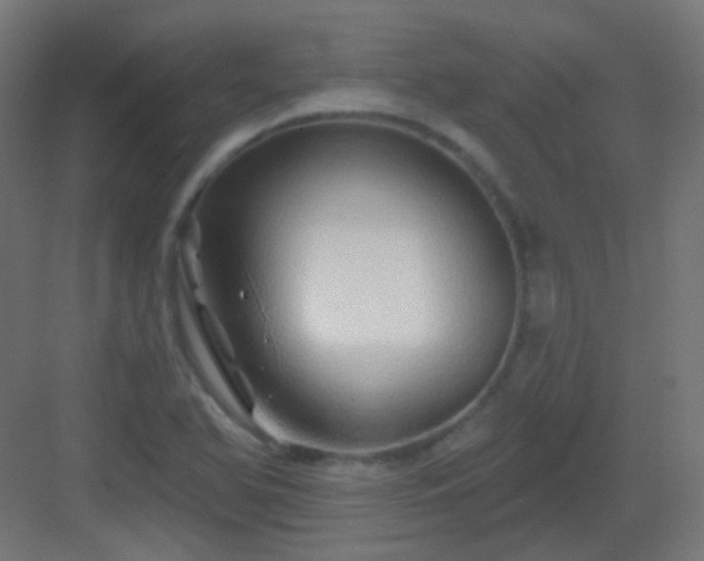 X0000083021366200702091306