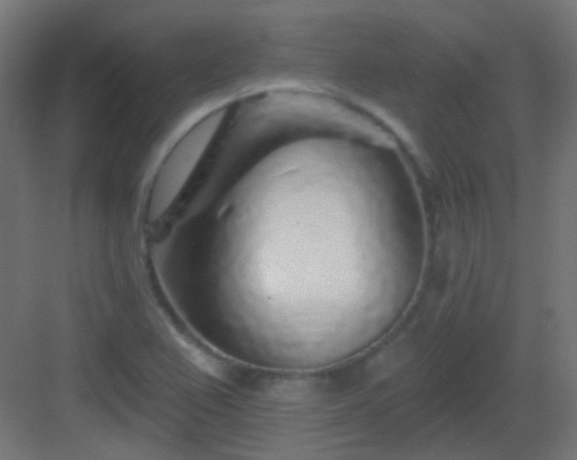 X0000083021367200702091306