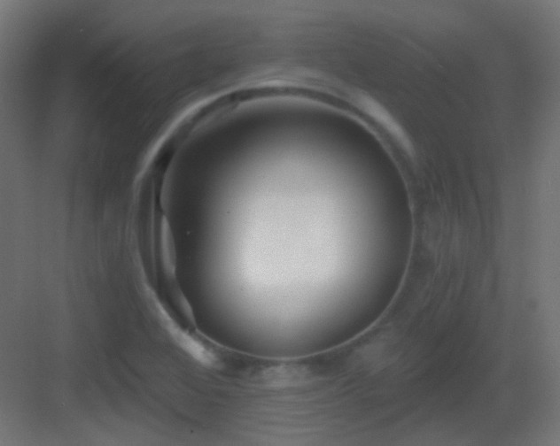 X0000083021368200702091306