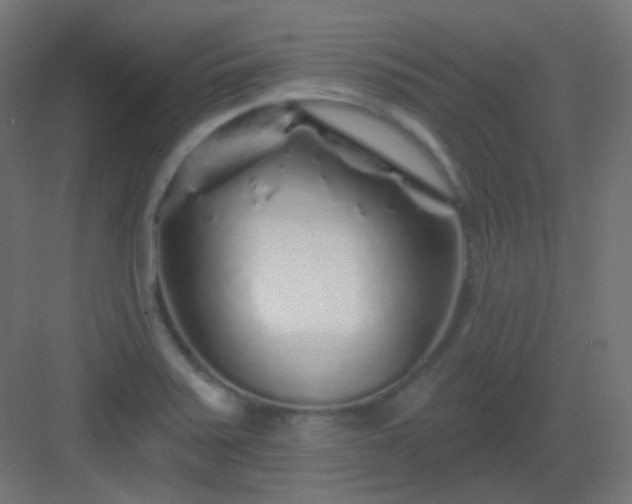 X0000083021371200702091306
