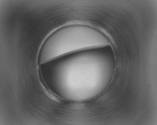 X0000083021372200702091305