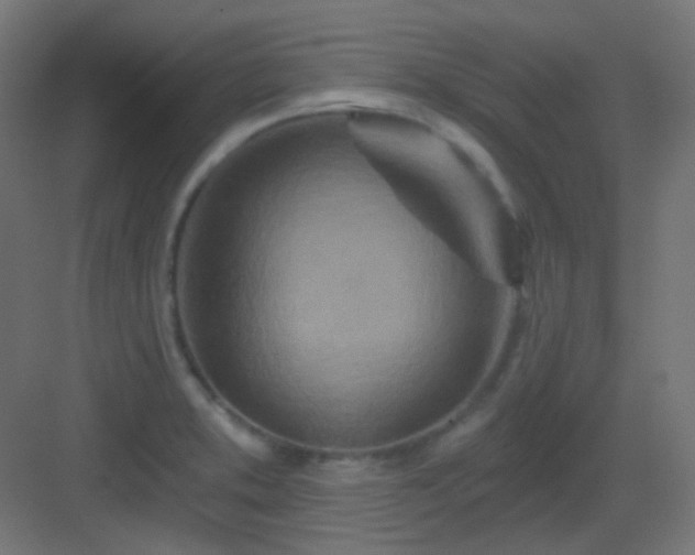 X0000083021373200702091305