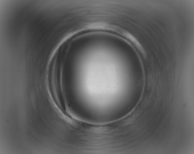 X0000083021376200702091305