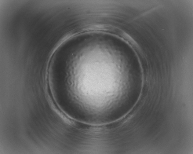 X0000083021378200702091305
