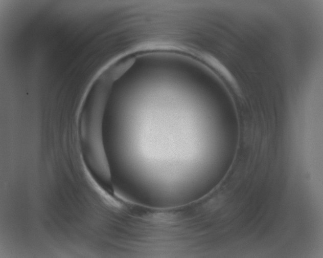 X0000083021380200702091305