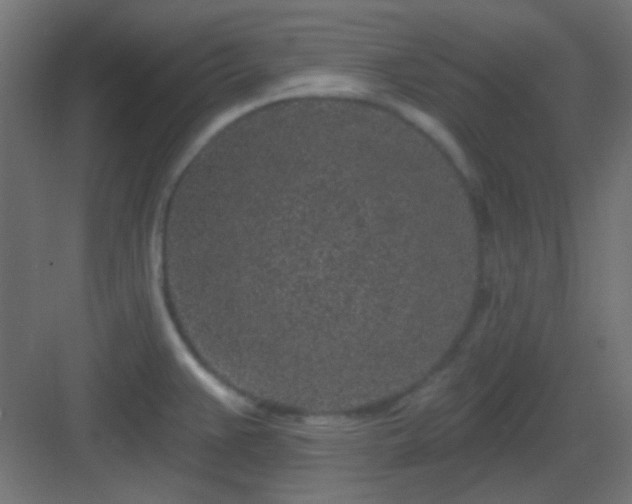 X0000083021383200702091305