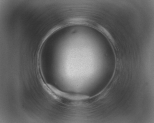 X0000083021386200702091305
