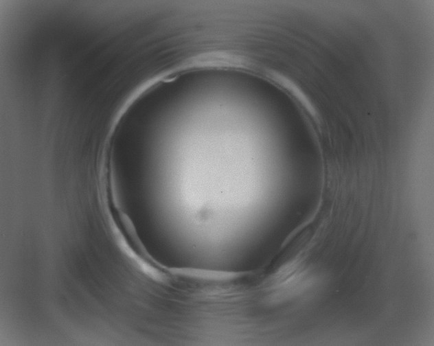 X0000083021387200702091305