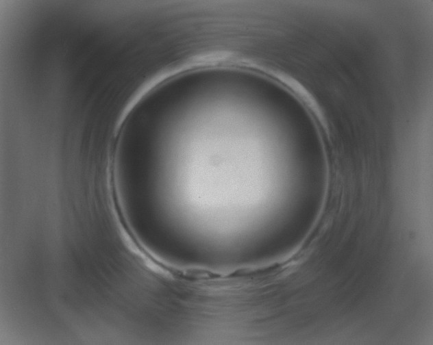 X0000083021390200702091305