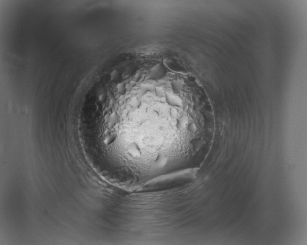 X0000083021393200702091304