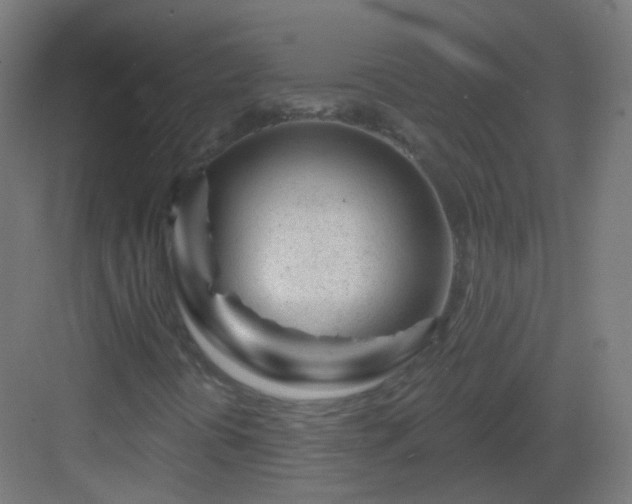 X0000083021394200702091304