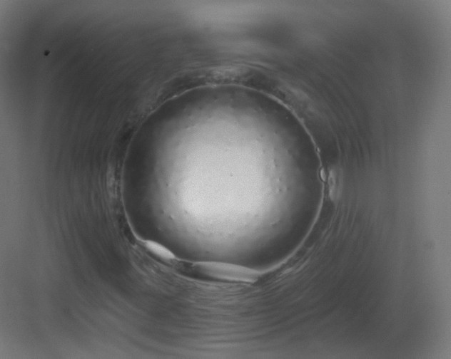 X0000083021395200702091304