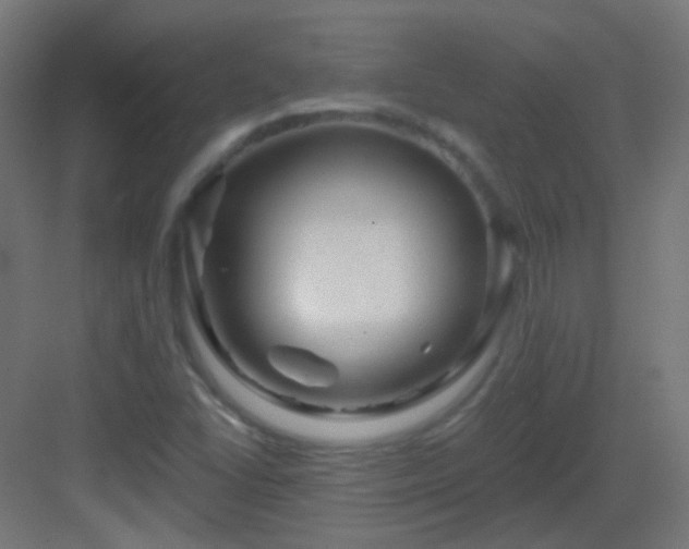 X0000083021406200702091305