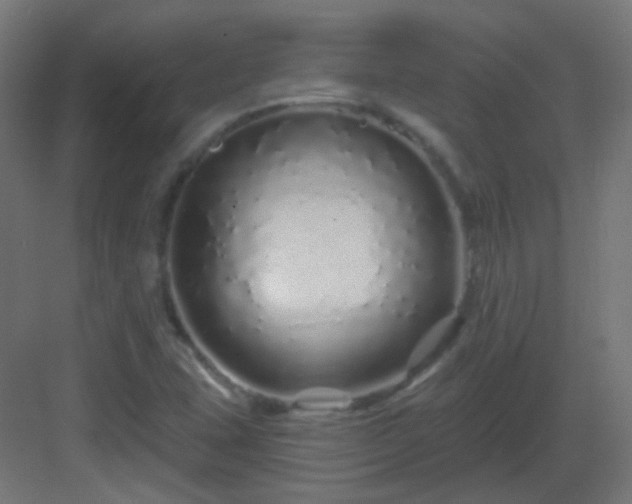 X0000083021407200702091305