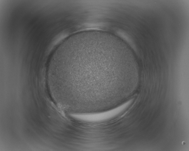 X0000083021411200702091305