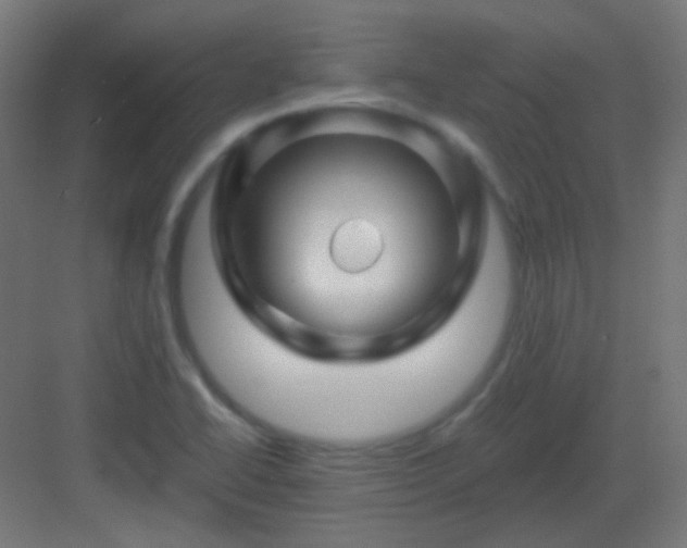 X0000083021414200702091305