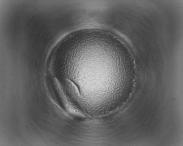 X0000083021415200702091305