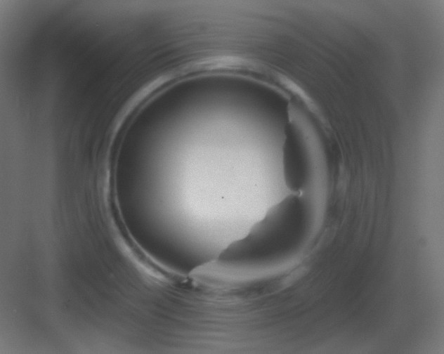 X0000083021418200702091305