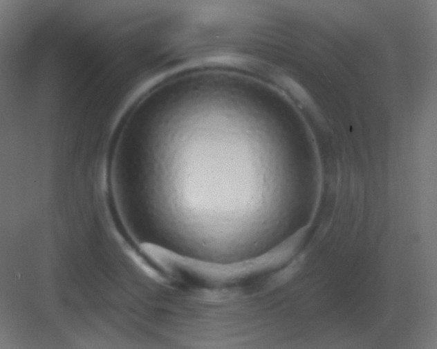 X0000083021420200702091305
