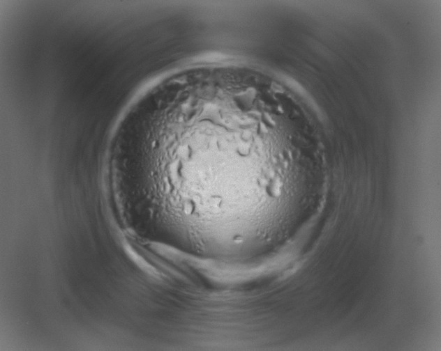 X0000083021421200702091305