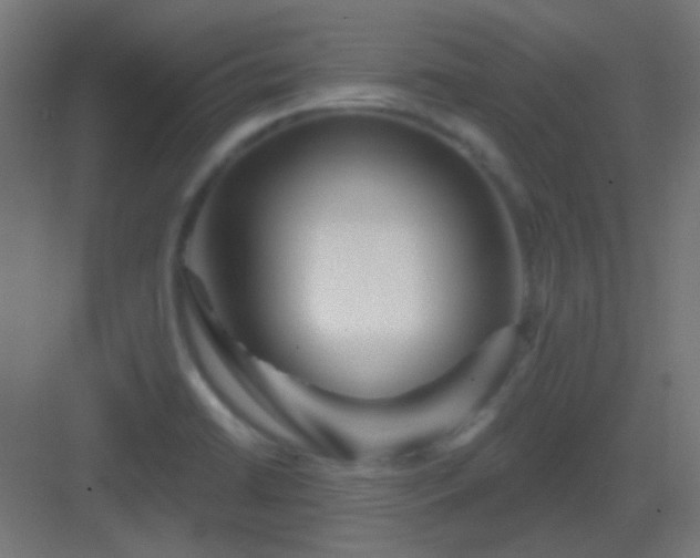 X0000083021422200702091305