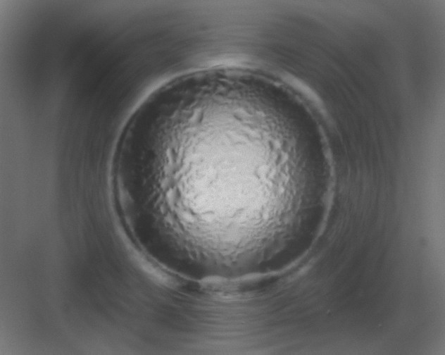 X0000083021423200702091305