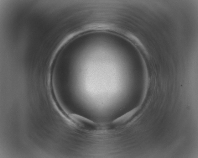 X0000083021424200702091305