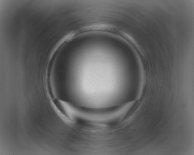 X0000083021426200702091305
