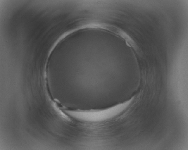 X0000083021428200702091305