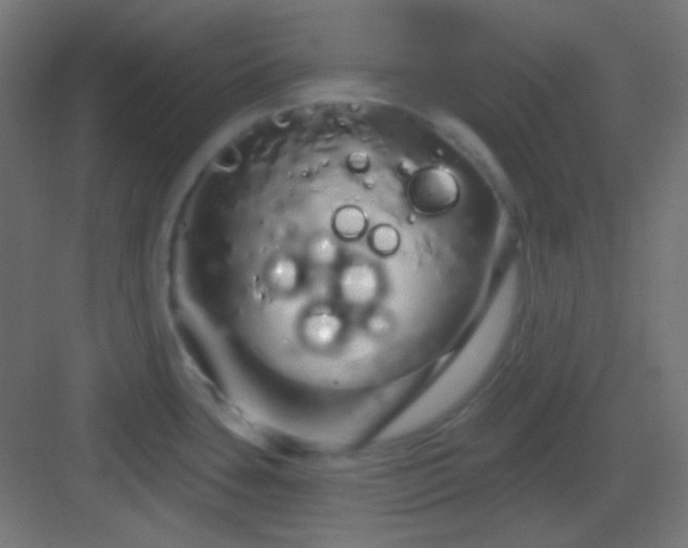 X0000083021435200702091305