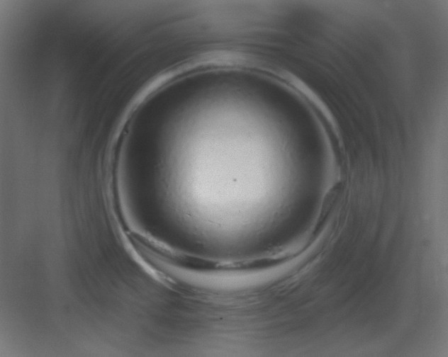 X0000083021437200702091305