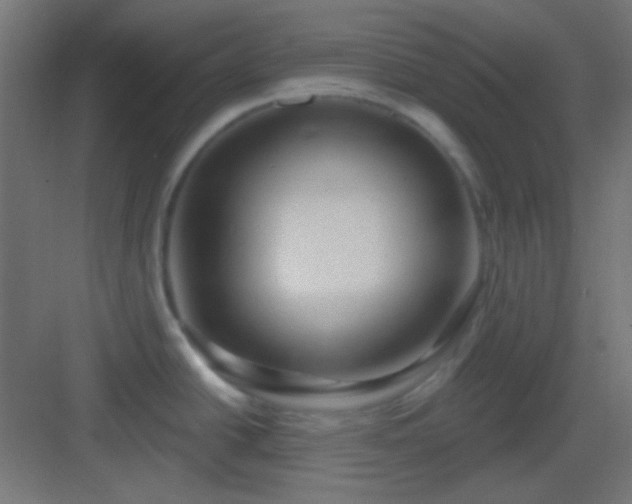 X0000083021438200702091305