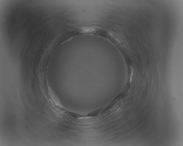 X0000083021441200702091304