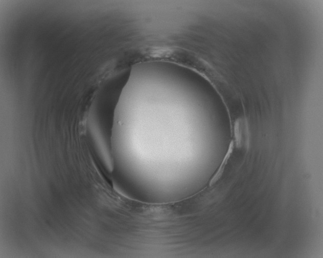 X0000083021443200702091304