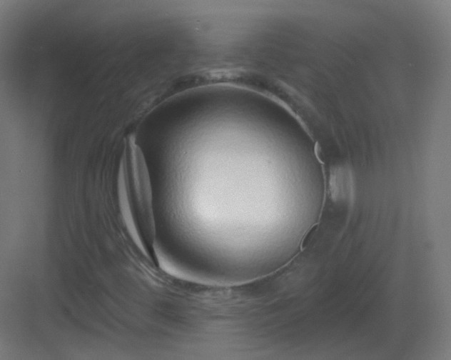 X0000083021444200702091304