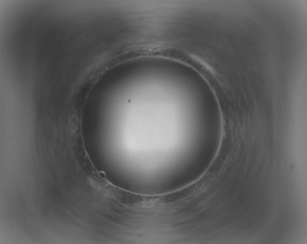 X0000083021447200702091304