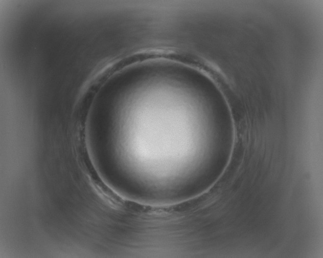 X0000083021448200702091304