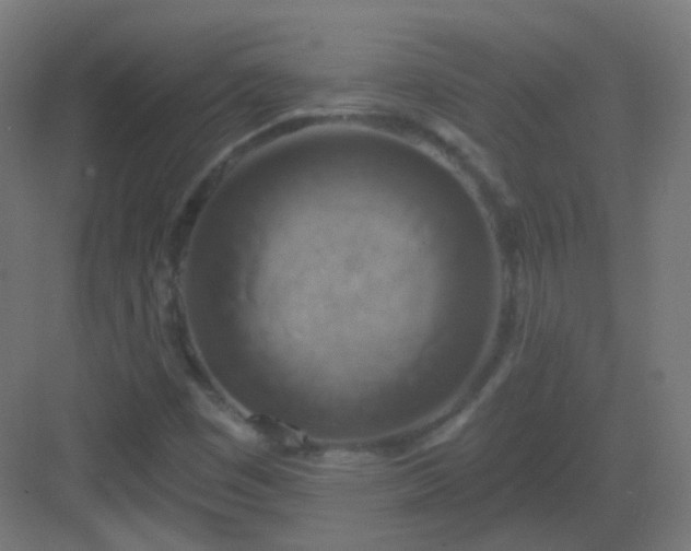 X0000083021449200702091304