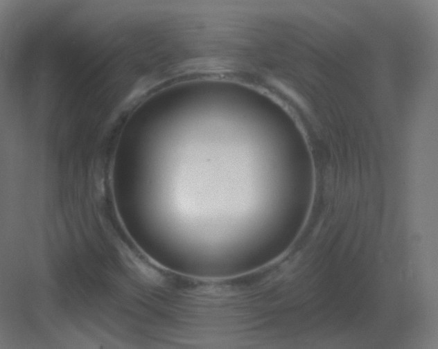 X0000083021451200702091304