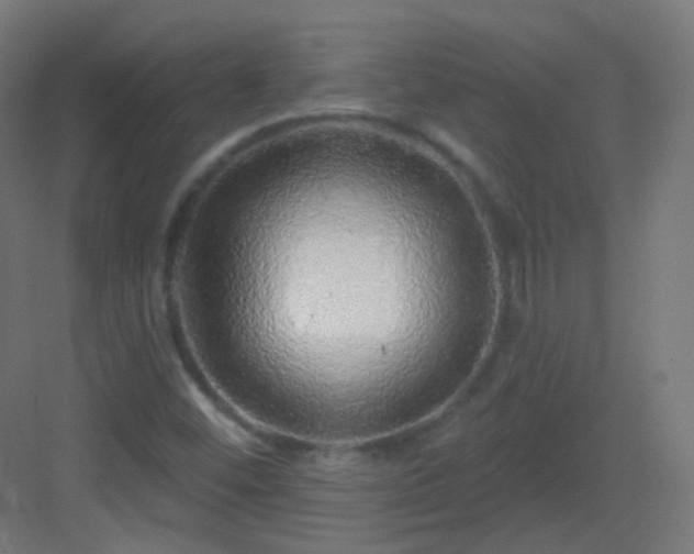 X0000083021452200702091304
