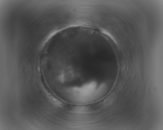 X0000083021455200702091304