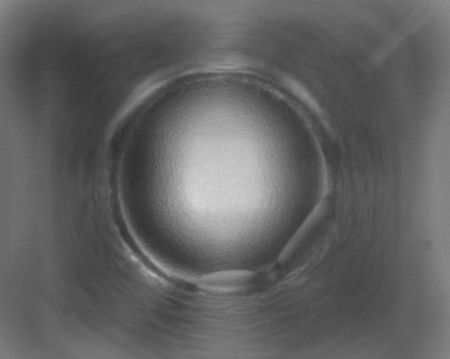 X0000083021456200702091304