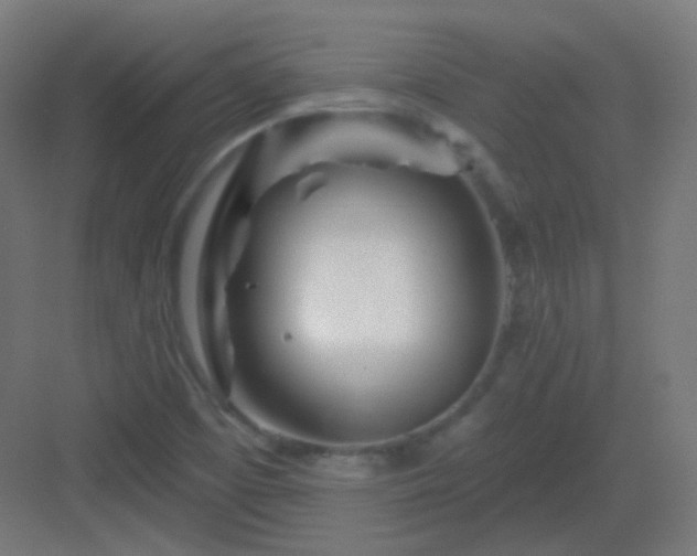 X0000083021457200702091304