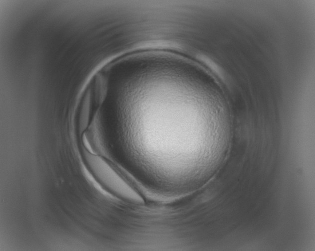X0000083021468200702091304